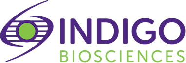 Indigo Indigo