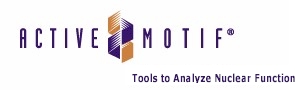 logo Active Motif NF