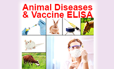 Animal-Vaccines