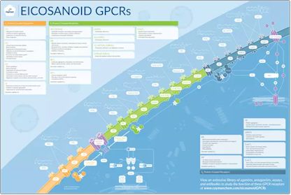 Eicosanoid GPCR Poster