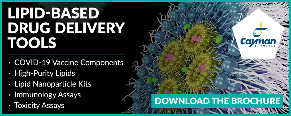 Lipid-Based Drug Delivery Tools