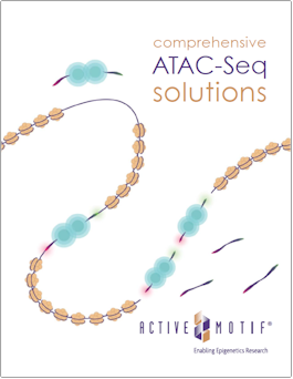 Active Motif ATAC-Seq