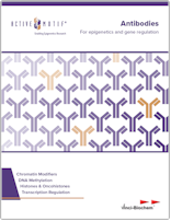 Active Motif Antibodies Catalog