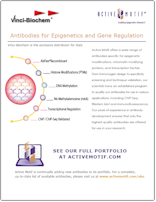 Active Motif Antibodies flyer