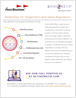 Active Motif Antibodies flyer