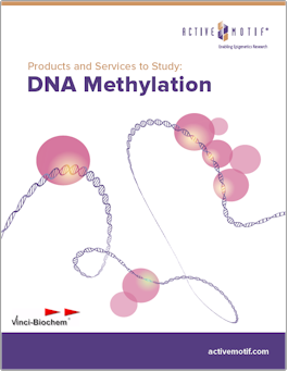 Active Motif DNA Methylation Products and Services