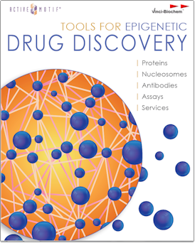 Epigenetics Drug Discovery