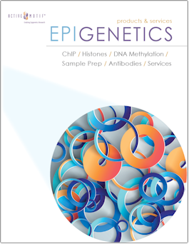 Active Motif Epigenetics
