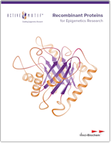 Proteins for Epigenetics