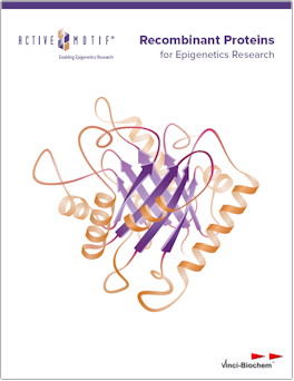 Proteins for Epigenetics
