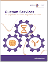 Custom Services Active Motif
