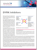 DYRK Adipogen