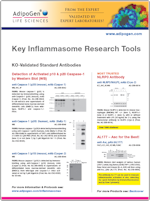 AdipoGen_Key_Inflammasome_Tools