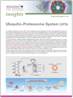 AdipoGen Ubiquitin Proteasome System