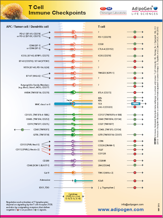 AdipoGen Wallchart TCell Immune Checkpoints 2016