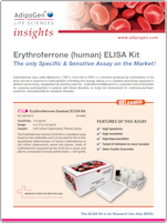 Adipogen Erythroferrone Insights