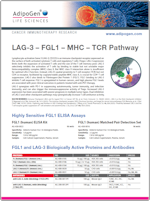 Adipogen_LAG-3_Signaling_Pathway