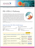 Adipogen_PD-1-PD-L1_Signaling_Pathway