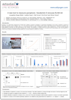 Adipogen Poster Inflammasome Gasdermin D