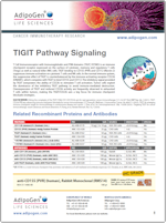 Adipogen_TIGIT_Signaling_Pathway