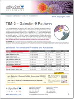 Adipogen_TIM-3_Signaling_Pathway