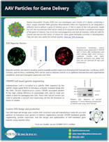 BPS_AAV_Particles_for_Gene_Delivery