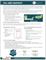 BPS_Cell_Lines_Snapshot