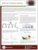 BPS SARS-CoV-2 Research Solutions