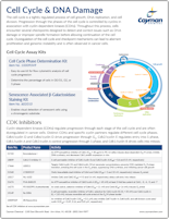 Cayman Kinase Inhibitors