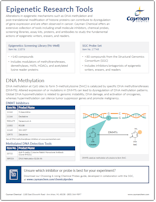 Cayman Epigenetic Research Tools