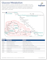 Cayman Glucose Metabolism