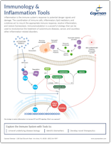 Immunology and Inflammation Cayman