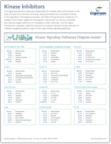 Cayman Kinase Inhibitors