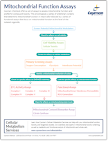 Cayman Mitochondrial Function Assays