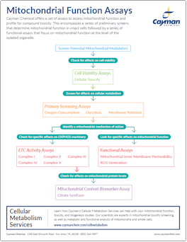 Mitochondial Function Assay Cayman 