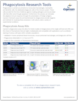 Cayman Phagocytosis Research