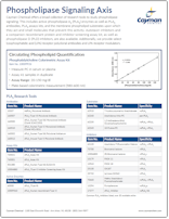 Cayman Phospholipase Signaling Axis