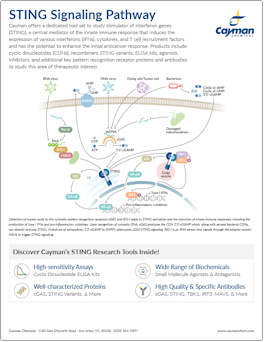 Cayman STING Signaling Pathway