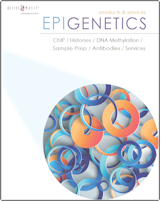 Epigenetics Active Motif