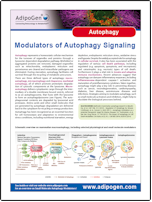 Flyer_Adipogen_Autophagy_2014