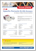 Adipogen Periostin