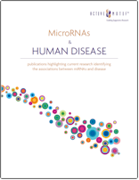 Micro RNA selected publications