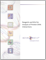 Protein-DNA Interactions Active Motif