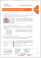 RevMab_Mutant-specific_Antibodies