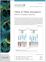 TRAIL and TRAIL Receptors